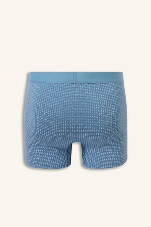 Regular Fit Desenli Beli Lastikli 3'lü Boxer