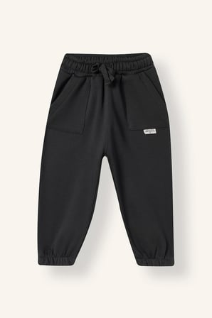 Jogger Fıt Kalın Sweatshirt Kumaşı Pantolon Erkek Bebek
