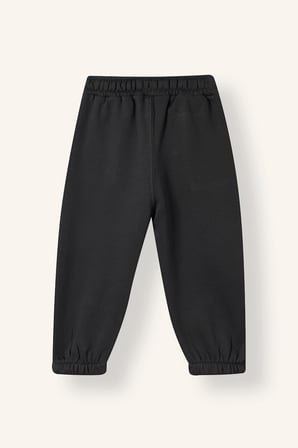 Jogger Fıt Kalın Sweatshirt Kumaşı Pantolon Erkek Bebek