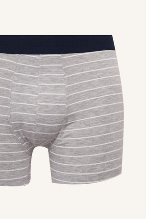 DeFacto Regular Fıt Çizgili 3'lü Boxer Set H4415AX26SPNV135