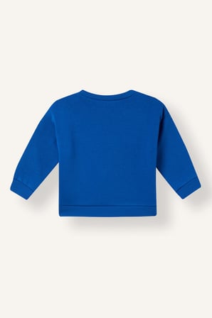 Bisiklet Yaka Baskılı İçi Yumuşak Tüylü Sweatshirt Erkek Bebek
