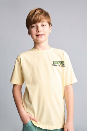 DeFacto Minecraft New Regular Fıt Bisiklet Yaka Kısa Kollu Tişört Erkek Çocuk H8261A826HSYL114