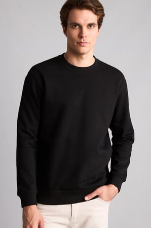 Regular Fıt Bisiklet Yaka Sweatshırt