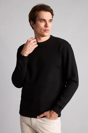 Regular Fıt Bisiklet Yaka Sweatshırt