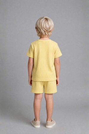 DeFacto Kısa Kollu Üst Şort Alt 2'li Pijama Takımı Erkek Bebek H5378A526HSYL273