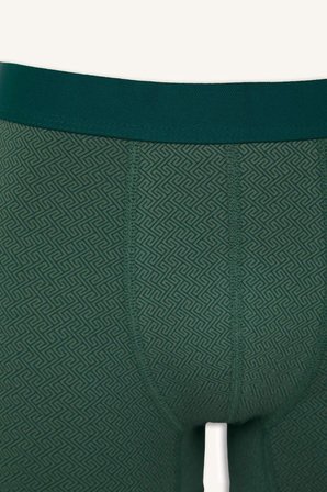 Regular Fıt Etnik Desenli 3'lü Boxer