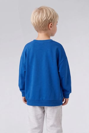 Bisiklet Yaka Baskılı İçi Yumuşak Tüylü Sweatshirt Erkek Bebek
