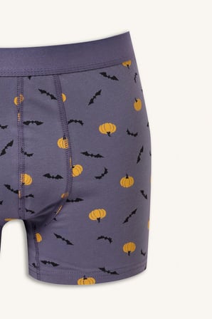 Regular Fıt Desenli Normal Bel 3'lü Boxer