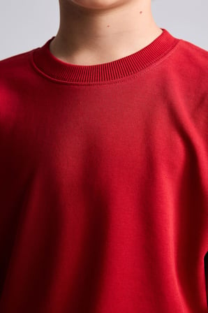 Bisiklet Yaka İçi Yumuşak Tüylü Basic Sweatshirt Erkek Çocuk