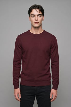 DeFacto Regular Fit Bisiklet Yaka Basic Triko Kazak A5268AX26AUBR34