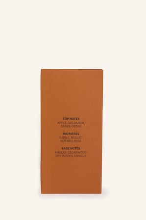 Erkek 100 ml Skin Musk Parfüm 