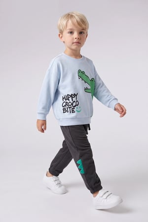 Hayvan Desenli İnce Sweatshirt Kumaşı 2'li Takım Erkek Bebek