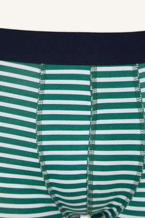 Regular Fıt Çizgili 3'lü Boxer