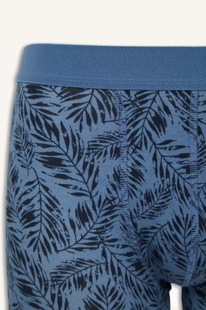 DeFacto Regular Fıt Baskılı 3'lü Boxer E5043AX26AUBE364