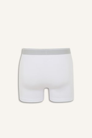 DeFacto Regular Fıt 3'lü Boxer G8561AX26AUWT34