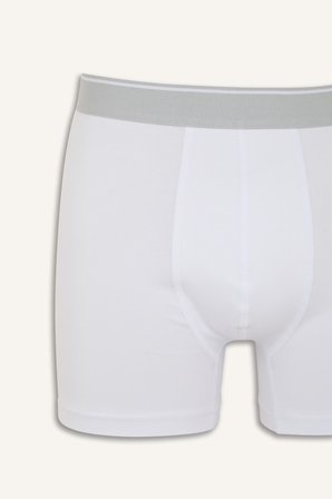 DeFacto Regular Fıt 3'lü Boxer G8561AX26AUWT34