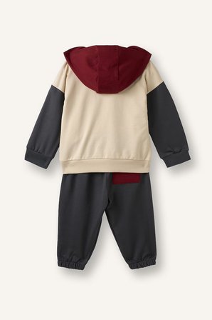 DeFacto %100 Pamuk Etiket Baskılı İnce Sweatshirt Kumaşı 2'li Takım Erkek Bebek F9452A526WNAR202