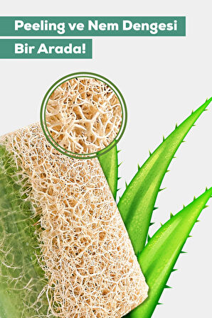 Doğal Kabak Lifli Aloe Vera Sabunu 130g.