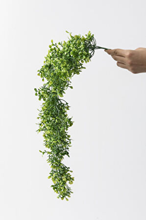 Yapay Sarmaşık Şimşir Uv Korumalı 75 Cm 5 Dal