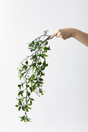 Yapay Sarmaşık Çay Uv Korumalı Yeşil 75 Cm 5 Dal