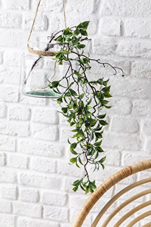 Yapay Sarmaşık Çay Uv Korumalı Yeşil 75 Cm 5 Dal