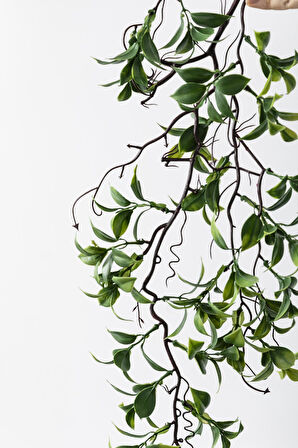 Yapay Sarmaşık Çay Uv Korumalı Yeşil 75 Cm 5 Dal