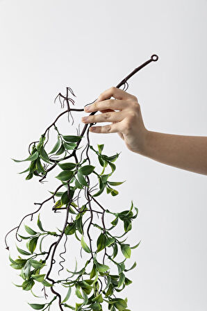 Yapay Sarmaşık Çay Uv Korumalı Yeşil 75 Cm 5 Dal