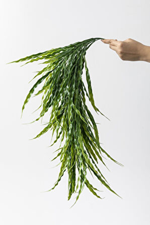 Yapay Sarmaşık Uv Korumalı  Sazlık Yeşil 90 Cm 5 Dal