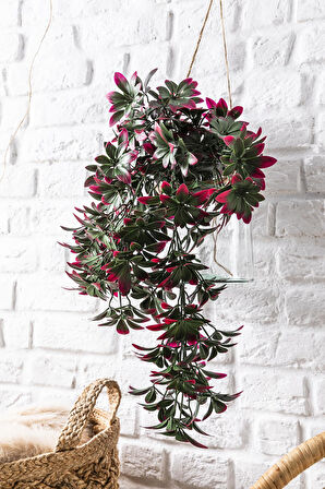 Yapay Sarmaşık Şeflore Uv Korumalı Yeşil Pembe 80 Cm 5 Dal