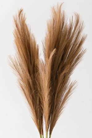 Yapay Pampas 100 Cm Tek Dal Kahverengi 5'li