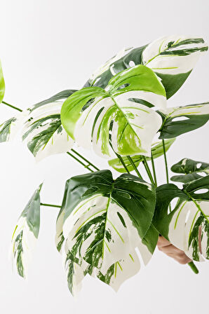 Yapay Salon Köşe Çiçeği Devetabanı Beyaz 65 Cm Saksısız