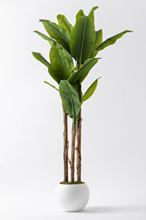 Yapay Muz Ağacı 220 Cm Küre Plastik Saksı