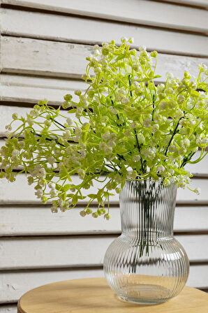 Yapay Cipso Demeti Krem 35 Cm 5 Dal