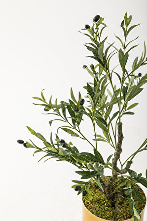 Yapay Zeytin Ağacı 85 Cm Gold Metal Saksı