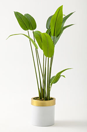 Yapay Starliçe Ağacı 120 Cm Beyaz Gold Saksı