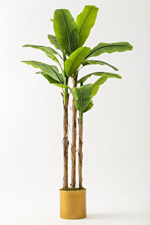 Yapay Muz Ağacı 220 Cm Gold Metal Saksı