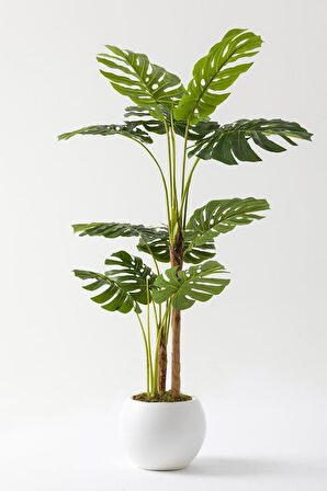 Yapay Deve Tabanı Ağacı (Monstera) 170 Cm Plastik Küre Saksı