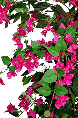 Yapay Ağaç Begonvil Fuşya 160 Cm 56 Dal