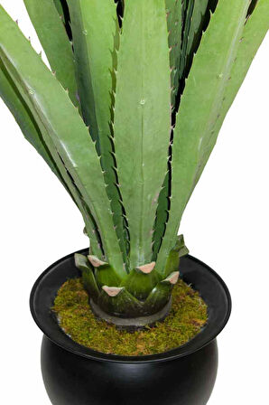 Yapay Aloe Vera Ağacı