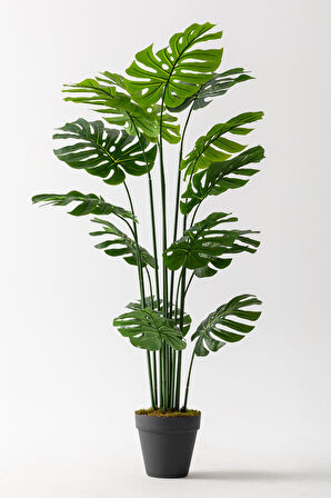 Yapay DeveTabanı(Monstera) Ağacı 180 Cm