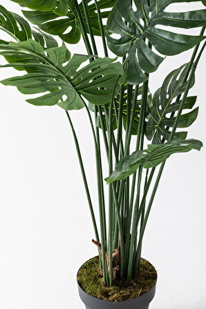 Yapay DeveTabanı(Monstera) Ağacı 200 Cm