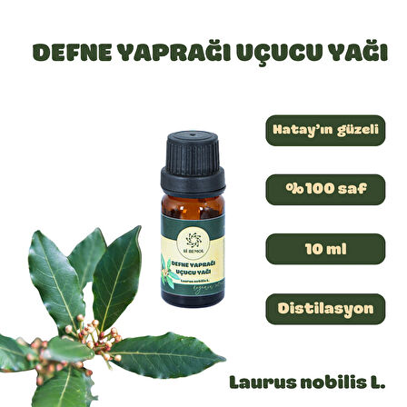 Sİ BEMOL DEFNE YAPRAĞI UÇUCU YAĞI DİSTİLASYON 10ml