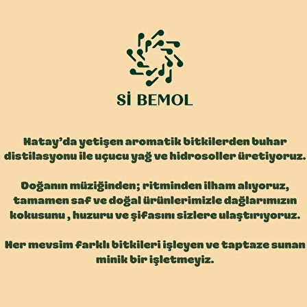 Sİ BEMOL DEFNE YAPRAĞI UÇUCU YAĞI DİSTİLASYON 10ml