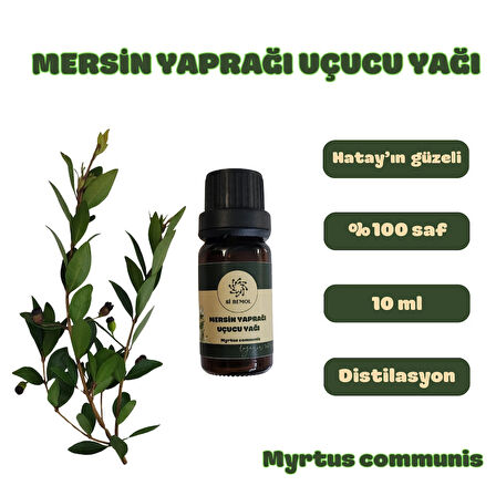 Sİ BEMOL MERSİN YAPRAĞI UÇUCU YAĞI DİSTİLASYON 10 ml