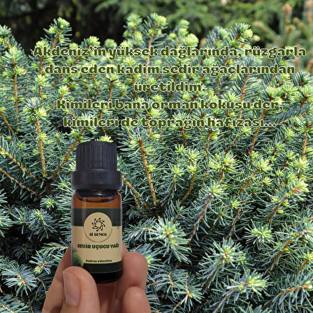 Sİ BEMOL SEDİR UÇUCU YAĞI