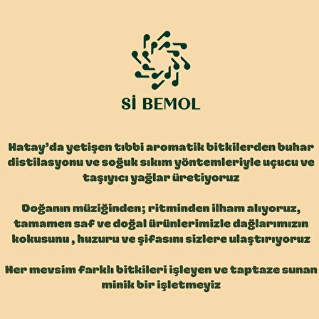 Sİ BEMOL SEDİR UÇUCU YAĞI