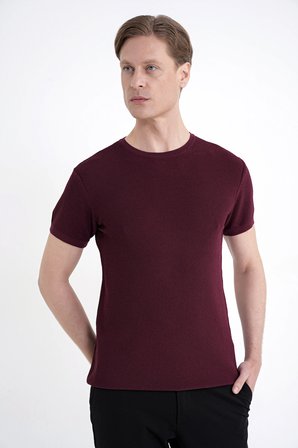 Comfort Fit Rayon Karışımlı Bordo Bisiklet Yaka Tişört TS 925 