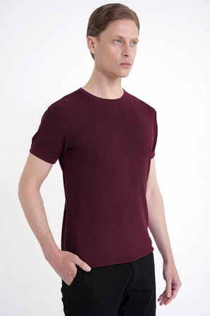 Comfort Fit Rayon Karışımlı Bordo Bisiklet Yaka Tişört TS 925 