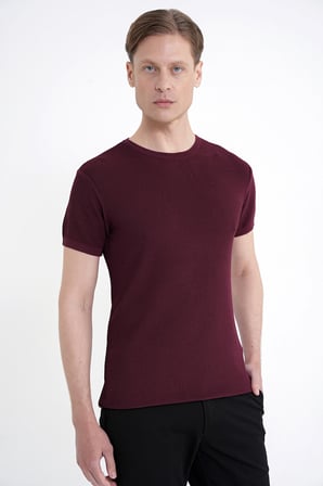 Comfort Fit Rayon Karışımlı Bordo Bisiklet Yaka Tişört TS 925 