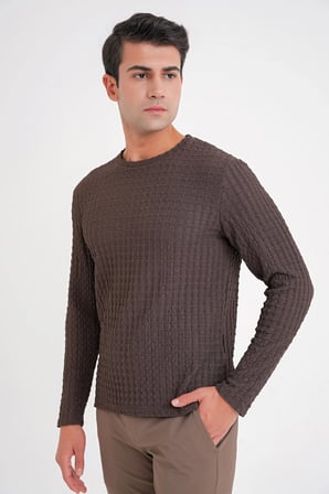 Slim Fit Esnek Pamuklu Dokulu Kumaş Uzun Kollu Kahverengi Tişört TS 934